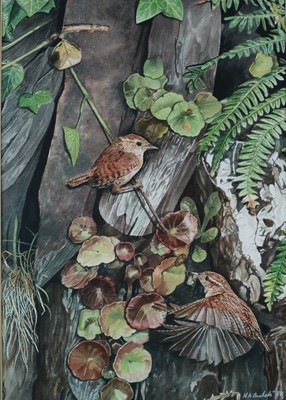 Lot 213 - Nigel Buckels (b.1973) Wrens