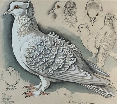 Lot 194 - Charles Frederick Tunnicliffe OBE RA (1901-1979) Male Ptarmigan