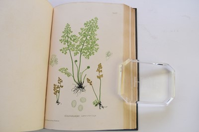 Lot 1064 - MOORE, Thomas, Nature Printed British Ferns, 2 vols, 1863.