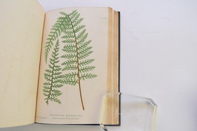 Lot 1064 - MOORE, Thomas, Nature Printed British Ferns, 2 vols, 1863.