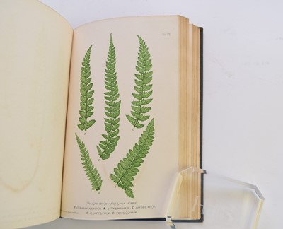 Lot 1064 - MOORE, Thomas, Nature Printed British Ferns, 2 vols, 1863.