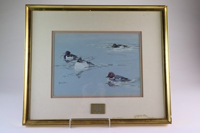 Lot 195 - Eric Arnold Roberts Ennion (1900-1981) Three Goldeneye Ducks and a Pochard