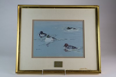 Lot 195 - Eric Arnold Roberts Ennion (1900-1981) Three Goldeneye Ducks and a Pochard