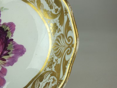 Lot 142 - Lowestoft sauceboat and a Derby anemone dish