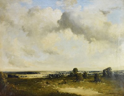 Lot 206 - David Murray Smith RBA RWS (1865-1952) Extensive  Landscape with Trees