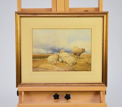 Lot 174 - Thomas Sidney Cooper R.A.( 1803-1902), Sheep by a pond, watercolour, 26.5 x 37cm