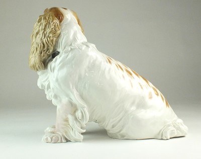 Lot 259 - A Meissen porcelain model of a cocker spaniel after Erich Hosel (1869-1953)