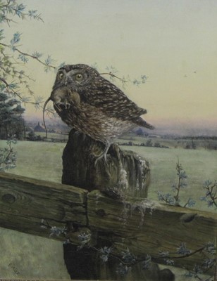Lot 135 - English School. An owl with prey