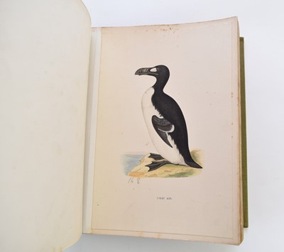 Lot 1093 - BIRD PLATES.  A Collection of 254 hand-coloured 19th century bird plates