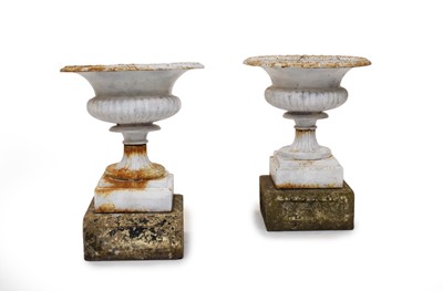 Lot 714 - Probably Coalbrookdale, a small pair of cast iron garden urns, 44cm high with concrete plinths (4)