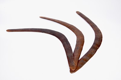 Lot 530 - Three Australian boomerangs