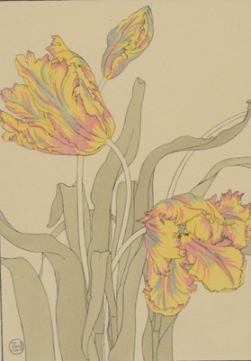 Lot 65 - Jane Foord (British, 19th/20th century), a plant study of tulips, coloured stencil, 25.3 x 18cm (I)