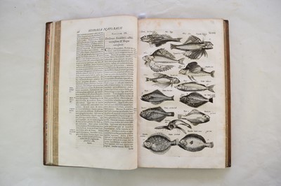 Lot 1198 - JONSTON, John, Historia Naturalis.  Book 5, De Piscibus et Cetis.