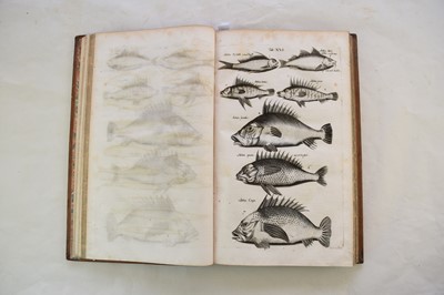 Lot 1198 - JONSTON, John, Historia Naturalis.  Book 5, De Piscibus et Cetis.