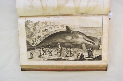 Lot 1198 - JONSTON, John, Historia Naturalis.  Book 5, De Piscibus et Cetis.