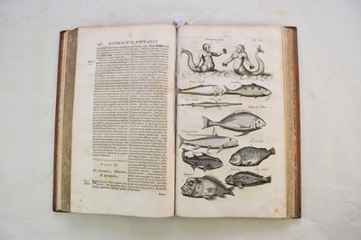 Lot 1198 - JONSTON, John, Historia Naturalis.  Book 5, De Piscibus et Cetis.