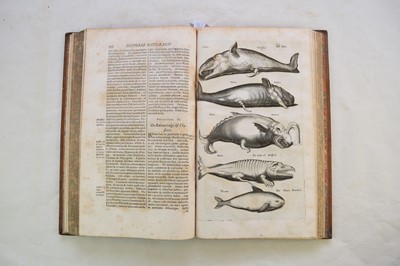 Lot 1198 - JONSTON, John, Historia Naturalis.  Book 5, De Piscibus et Cetis.