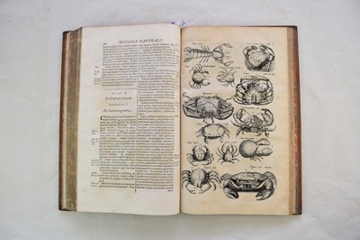 Lot 1198 - JONSTON, John, Historia Naturalis.  Book 5, De Piscibus et Cetis.