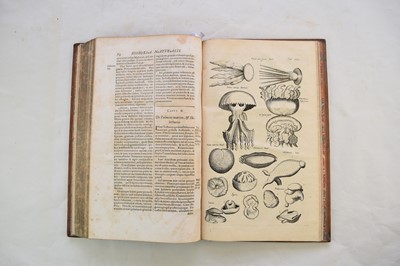 Lot 1198 - JONSTON, John, Historia Naturalis.  Book 5, De Piscibus et Cetis.