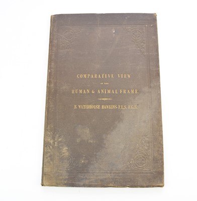 Lot 1199 - HAWKINS, B Waterhouse, A Comparative View of the Human and Animal Frame.  Folio, 1860
