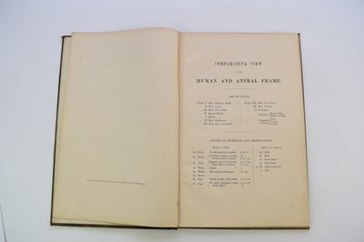 Lot 1199 - HAWKINS, B Waterhouse, A Comparative View of the Human and Animal Frame.  Folio, 1860