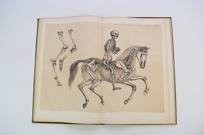 Lot 1199 - HAWKINS, B Waterhouse, A Comparative View of the Human and Animal Frame.  Folio, 1860