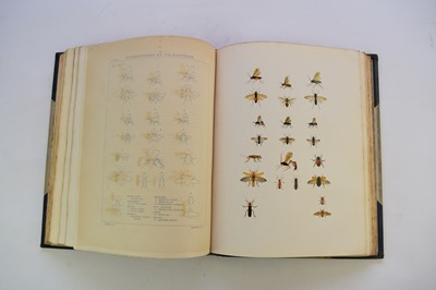 Lot 1195 - VAVON, Antoine, La Truite.  Ses Moeurs.  L'Art de la Pecher (The Trout. His Manners