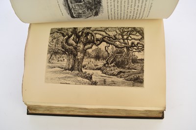 Lot 1020 - WISE, John R, The New Forest: Its History and Scenery. 4to, 1853.