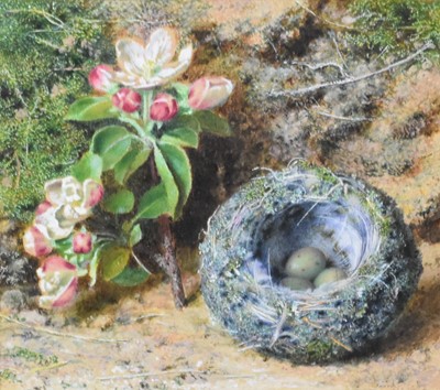 Lot 244 - John Sherrin (British, 1819-1896), 'Apple Blossom', watercolour