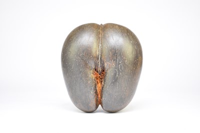 Lot 275 - A 20th century coco de mer (Lodoicea maldivica)