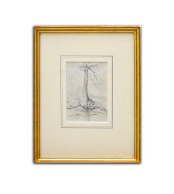 Lot 287 - John Constable R.A. (1776 - 1837) A tree by the banks of a stream, pencil, 11.7cm x 8.9cm