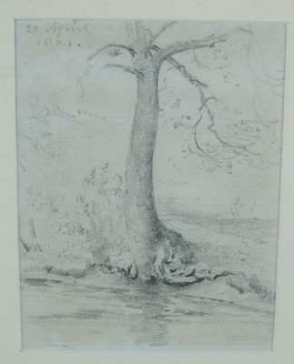 Lot 287 - John Constable R.A. (1776 - 1837) A tree by the banks of a stream, pencil, 11.7cm x 8.9cm