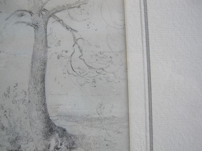 Lot 287 - John Constable R.A. (1776 - 1837) A tree by the banks of a stream, pencil, 11.7cm x 8.9cm