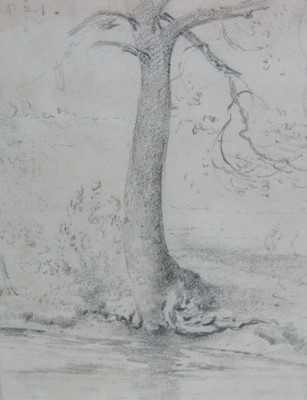 Lot 287 - John Constable R.A. (1776 - 1837) A tree by the banks of a stream, pencil, 11.7cm x 8.9cm