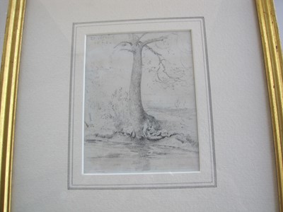 Lot 287 - John Constable R.A. (1776 - 1837) A tree by the banks of a stream, pencil, 11.7cm x 8.9cm