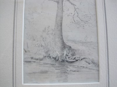 Lot 287 - John Constable R.A. (1776 - 1837) A tree by the banks of a stream, pencil, 11.7cm x 8.9cm