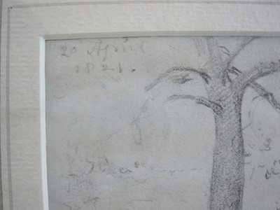 Lot 287 - John Constable R.A. (1776 - 1837) A tree by the banks of a stream, pencil, 11.7cm x 8.9cm