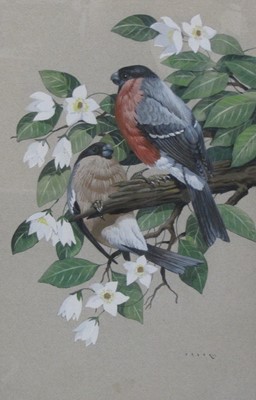 Lot 344 - John Crank (British 1922 - 2008) Bull Finches on branches; and On a Branch