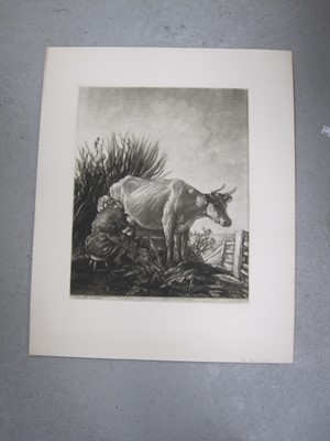 Lot 335 - Robert Charles Peter (1888 - 1980) a folio containing mezzotint engravings