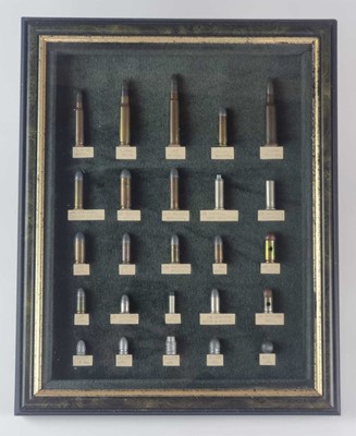 Lot 206 - Framed display of inert ammunition