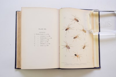 Lot 1134 - STAVELEY, EF, British Spiders, 1866