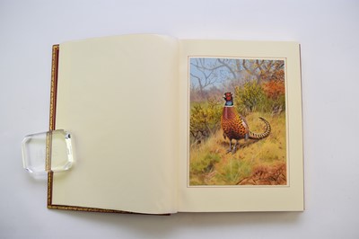 Lot 1107 - ROBJENT, Richard, and MARTIN, Brian.  The Pheasant: Studies in Words and Pictures. 4to, Fine Sporting Interests Ltd., Holt, Norfolk, 1995.