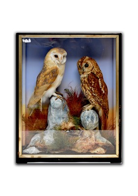 Lot 467 - TAXIDERMY: A cased diorama of owls attributed to J.Hutchings, Aberystwyth