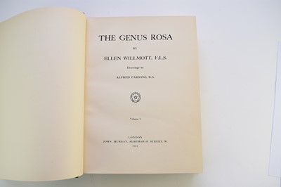 Lot 1038 - WILLMOTT, Ellen, The Genus Rosa, 2 vols folio 1910 - 14