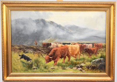 Lot 288 - Henry Hadfield Cubley (British, 1858-1934), ‘Collecting the Herd, Glencoe’, oil, 51 x 77cm