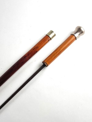 Lot Late 19th/early 20th century sword cane
