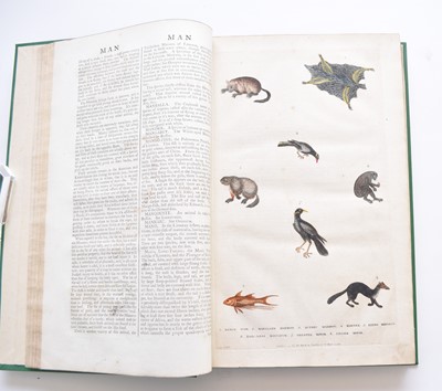 Lot 1027 - MARTYN, William Frederic, A New Dictionary of Natural History