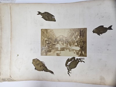 Lot 172 - Album relating to Captain W.H Fife (9th Lancers + North Somerset Yeomanry Cavalry)