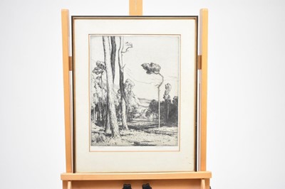 Lot 419 - Walter James 3rd Baron Northbourne (1869-1932) Wooded Landscape, Proof Etching