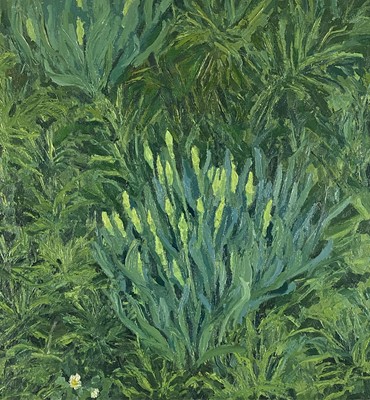 Lot 45 - Beverley Fry (b.1948) Daffodil Buds